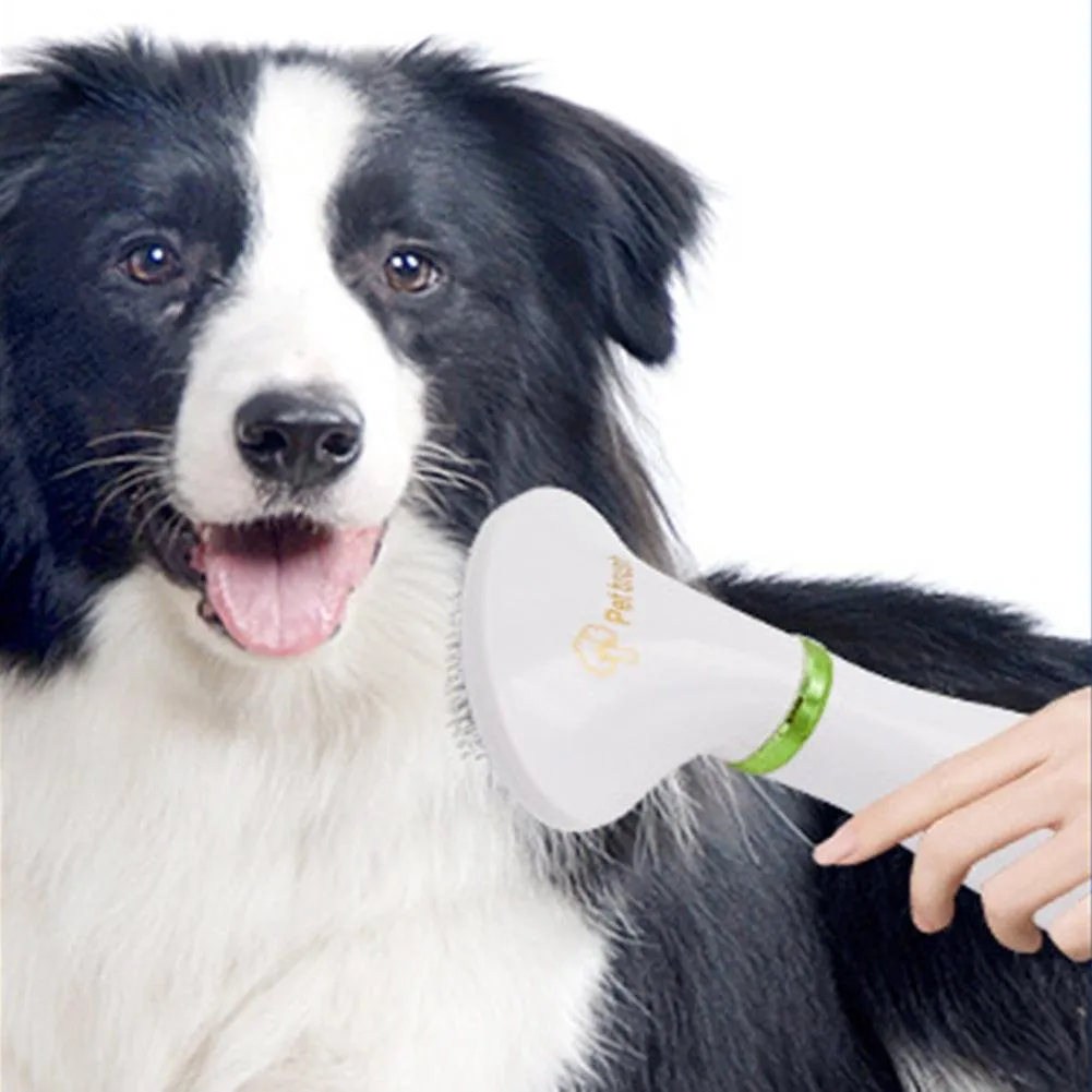 2-in-1 Pet Hair Drying Brush