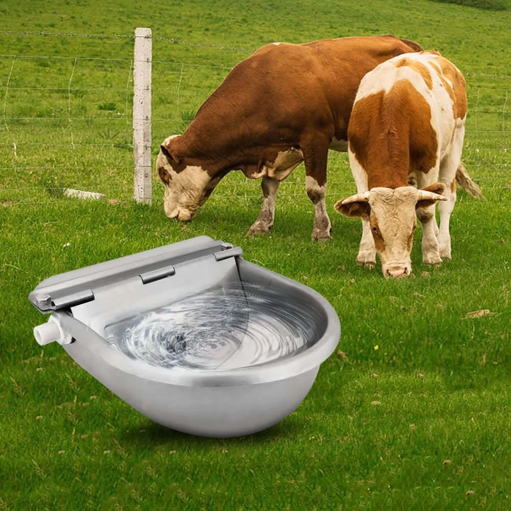 Automatic Drinking Bowl Water Trough Bowl