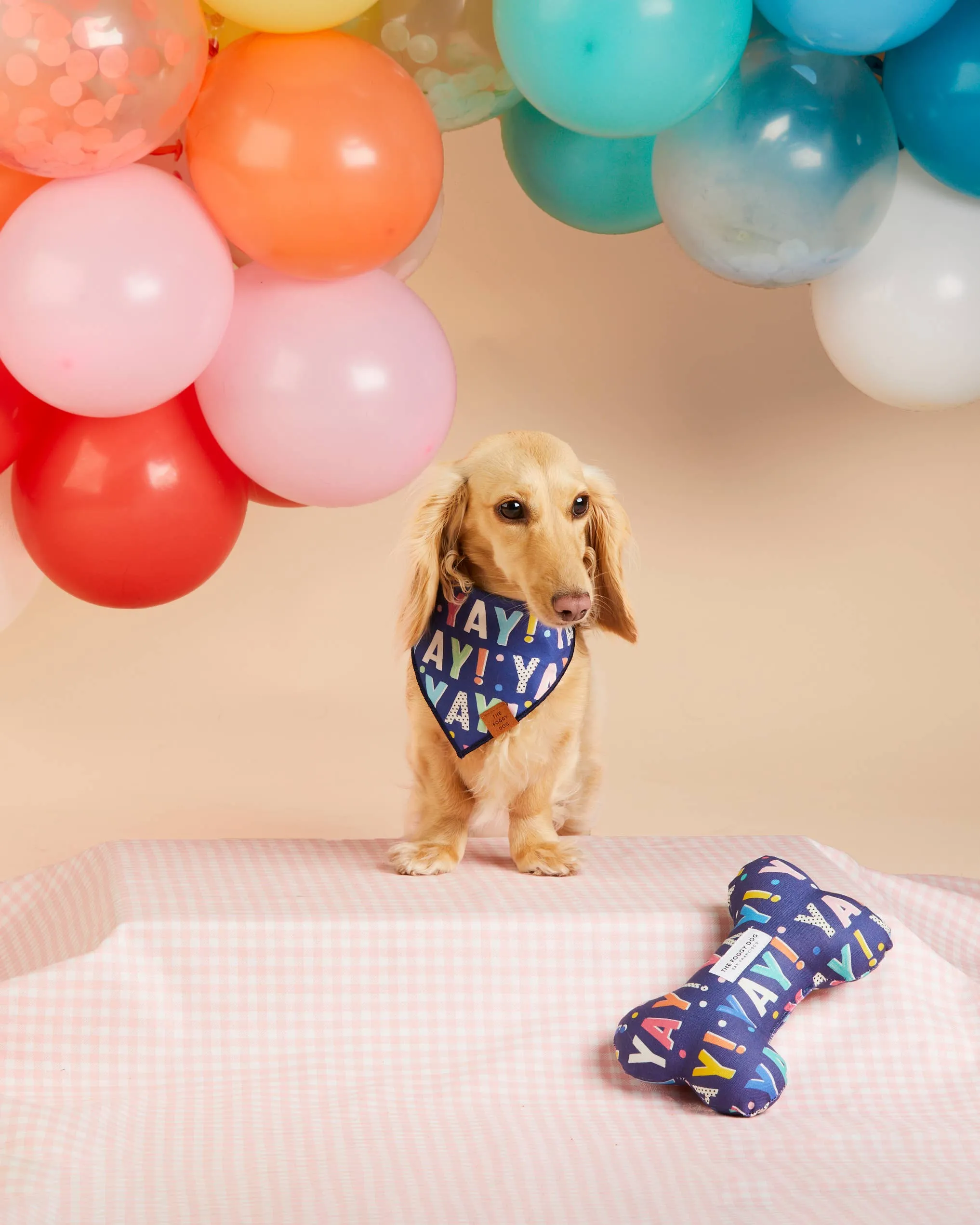 Birthday Yay Navy Dog Bandana: Small
