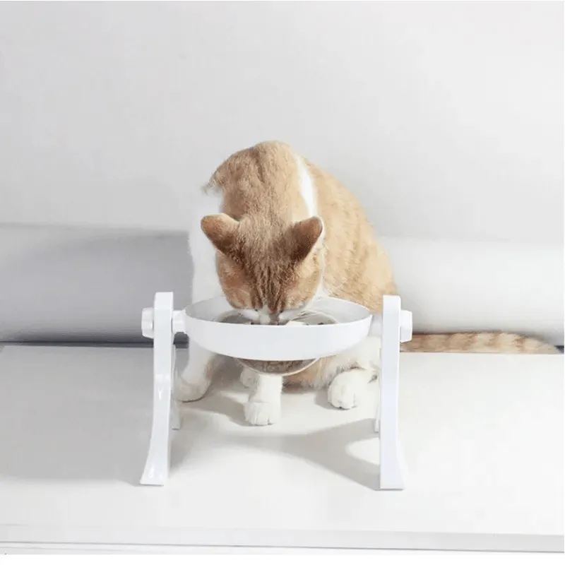 Dual Purpose Adjustable Pet's Water And Feeding Bowl AJ-12