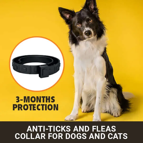 Kantick Plus - Anti-parasite collar for pets