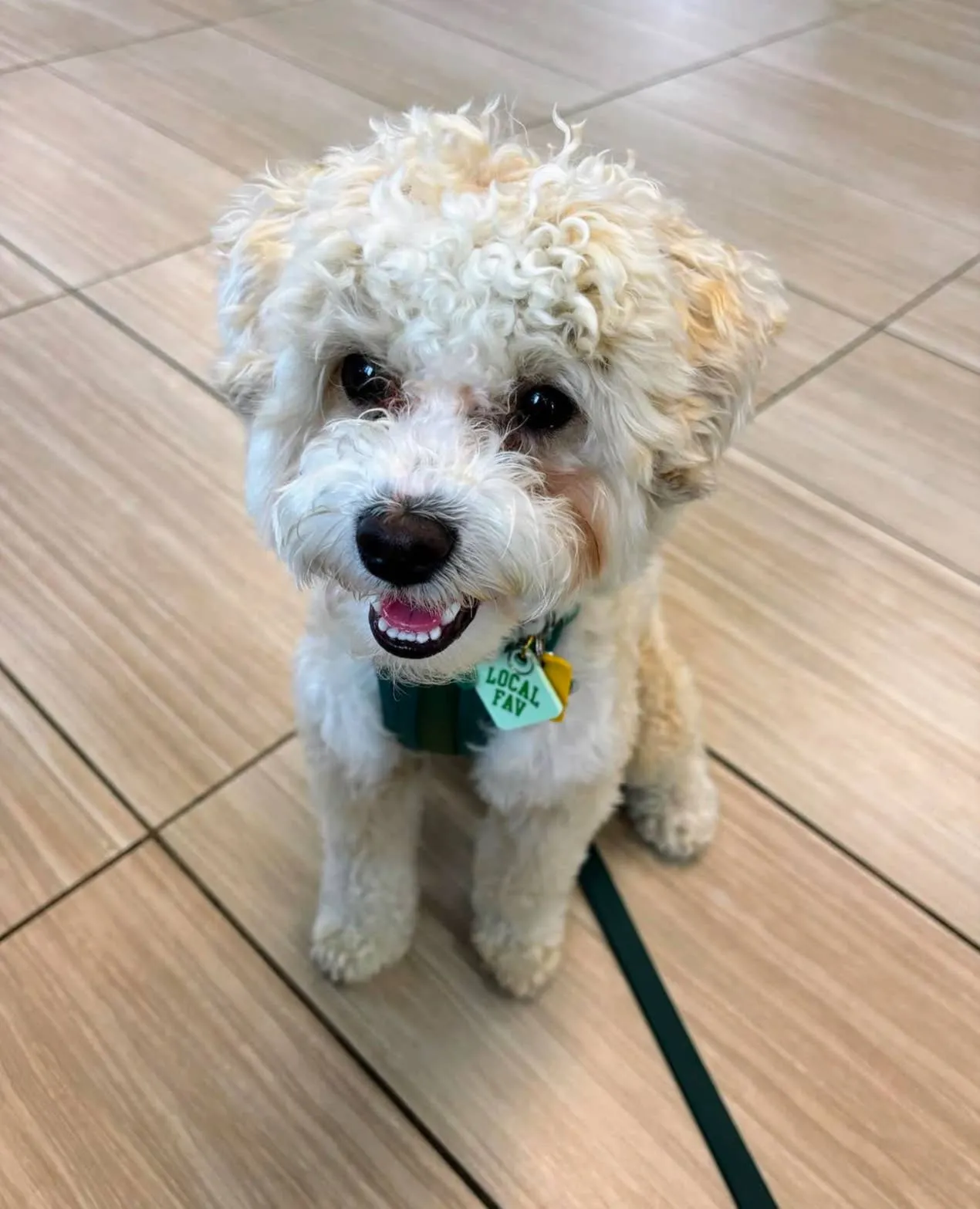 Local Fav Pet Tag