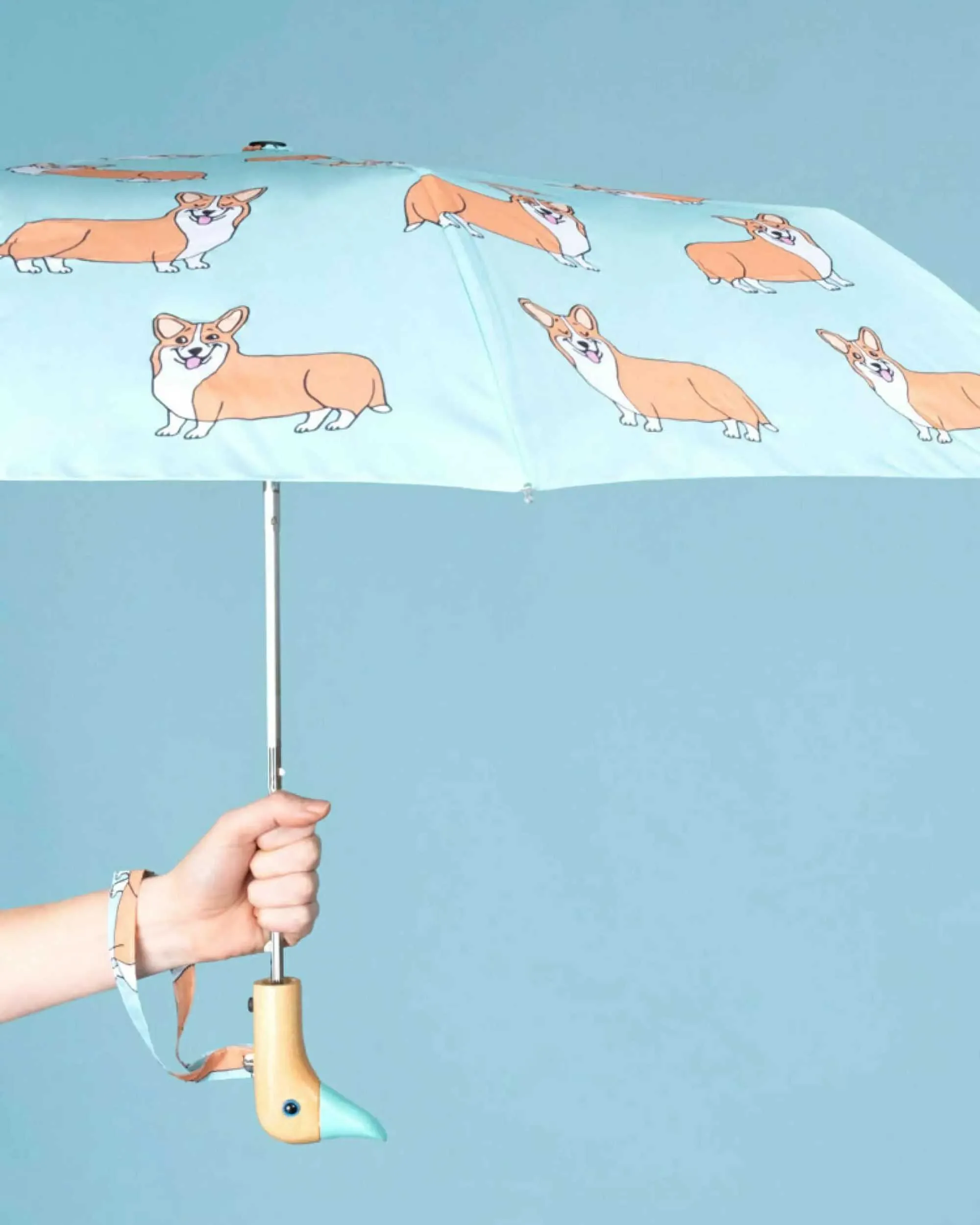 Original Duckhead Umbrella, Corgi Mint
