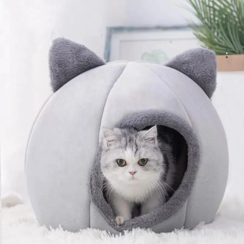 Pet Cave