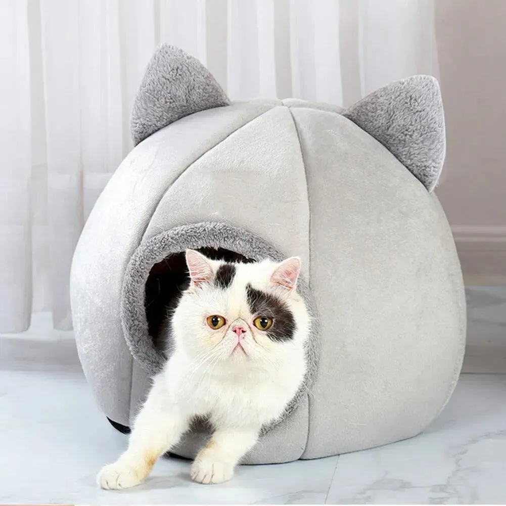 Pet Cave