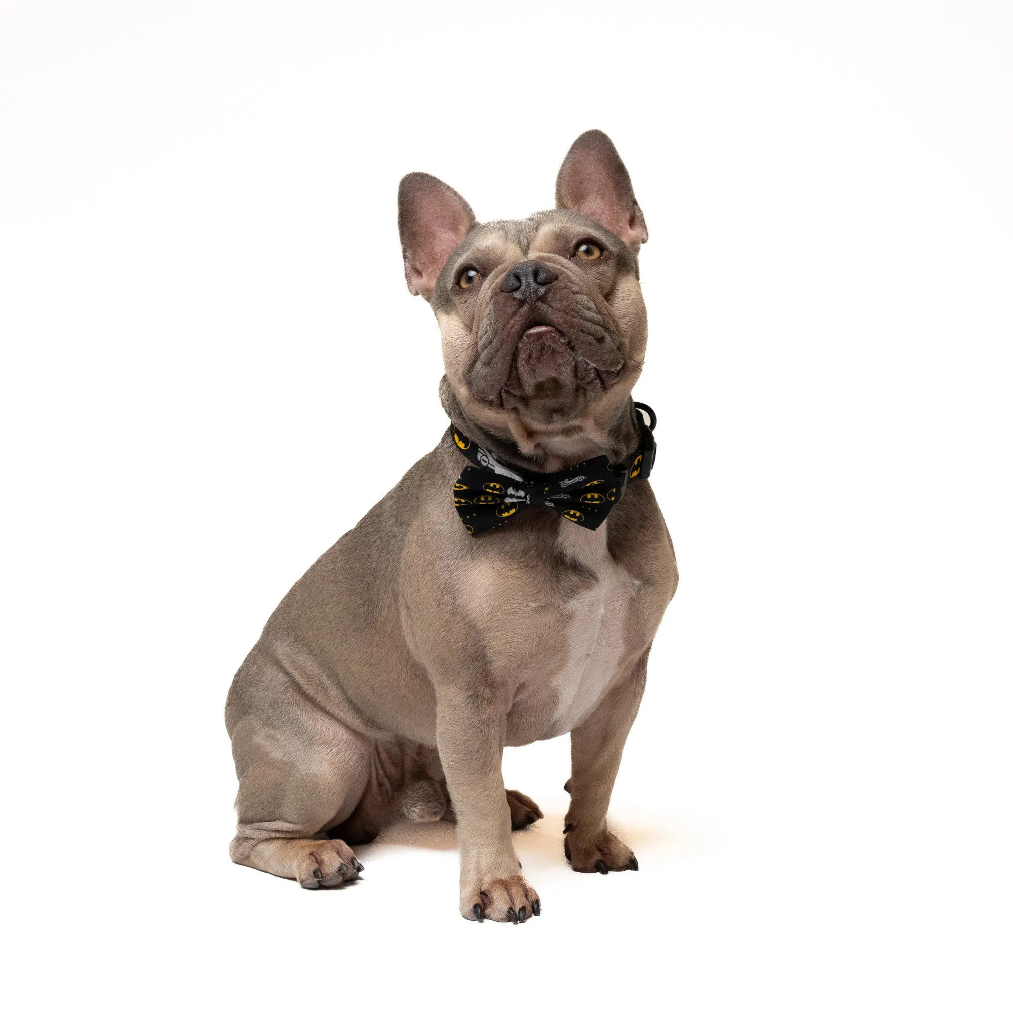 Petverse Batman Pet Bowtie