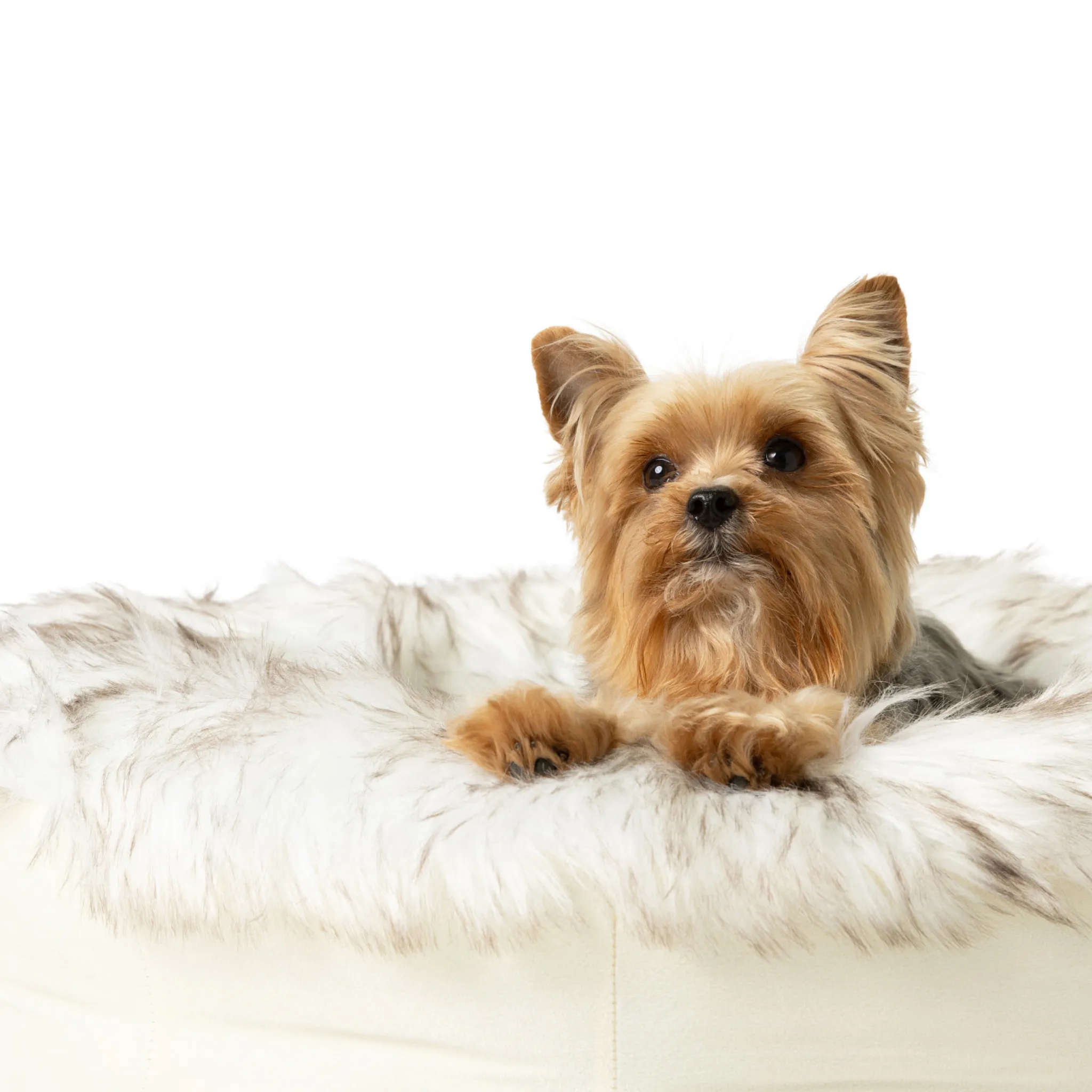 PupPouf Faux Fur Donut Pet Bed - Desert Luxe