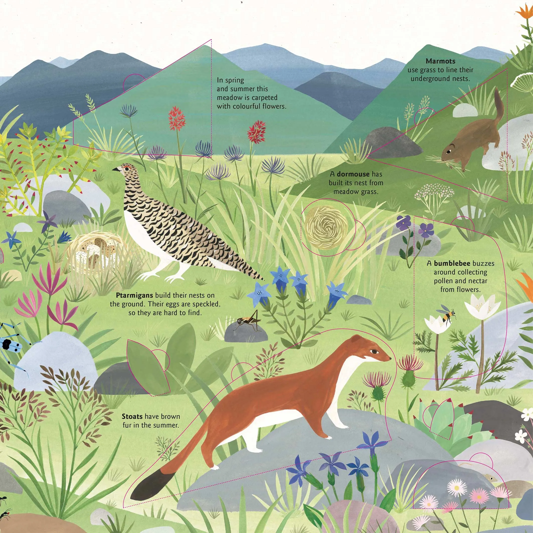 Small Worlds: Earth Book