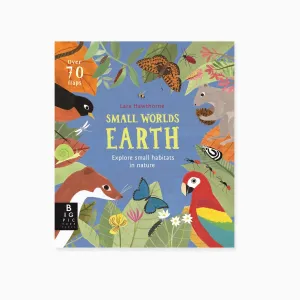 Small Worlds: Earth Book