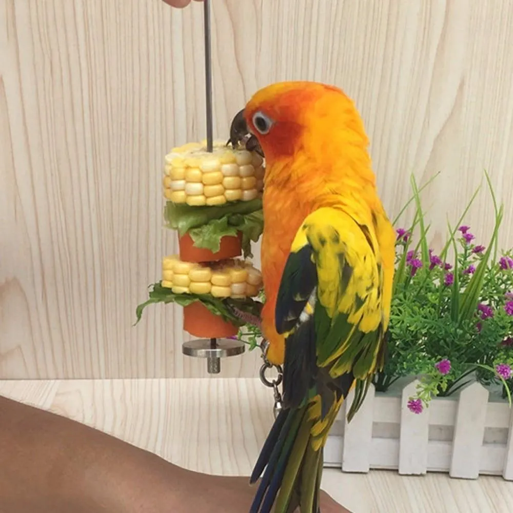 Stainless Steel Bird Feeder