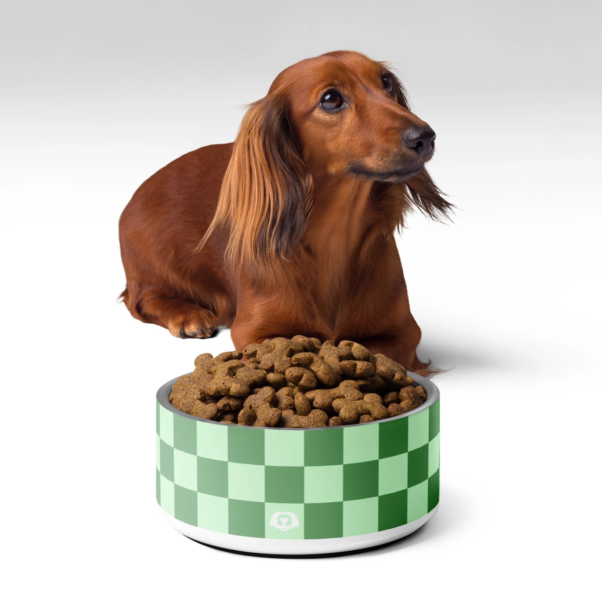 WUFORIA Checker Green Mint 32oz Dog Bowl
